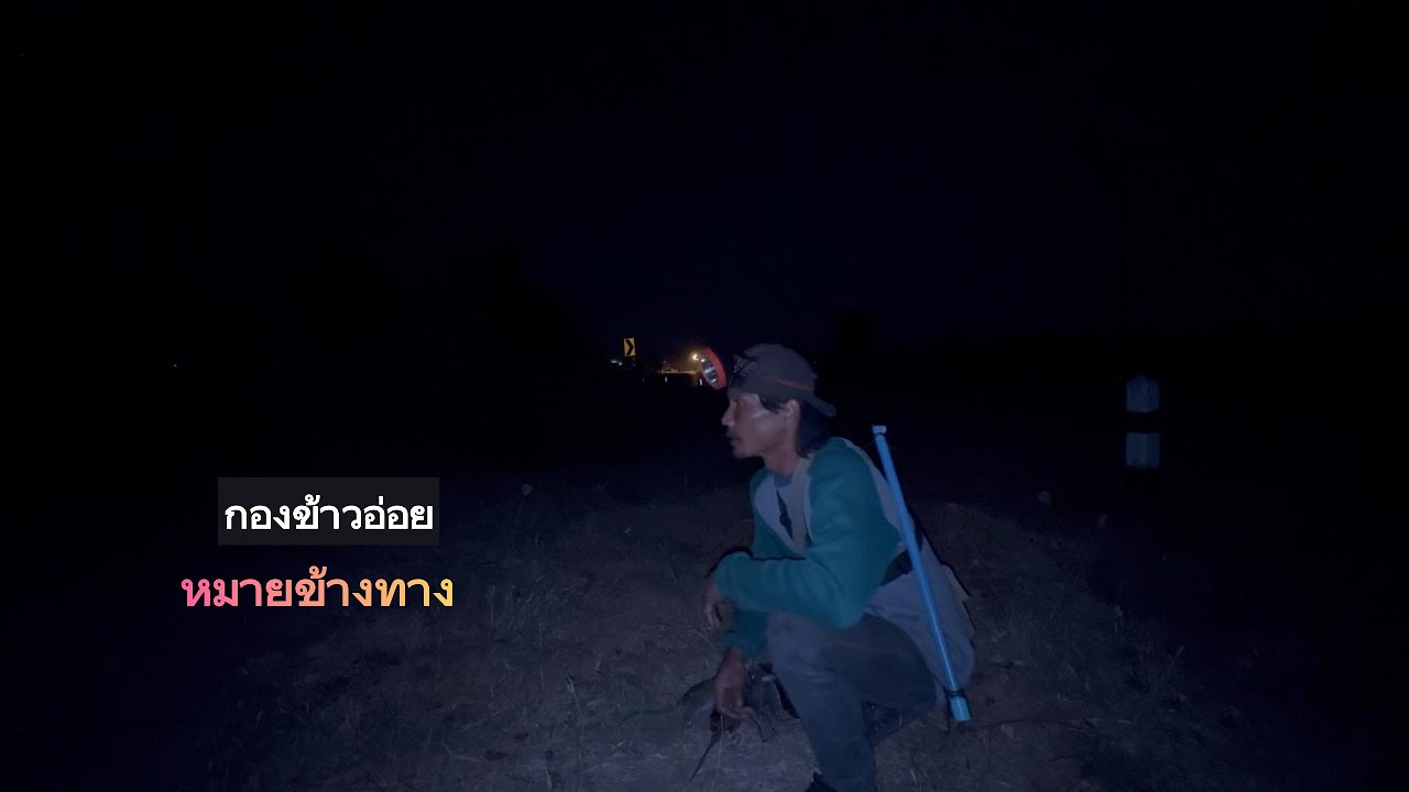 กองข้าวอ่อยข้างทาง หมายหมาเห่า ครึ่งคืนพอ  |  พรานหมึก คนตีผึ้ง