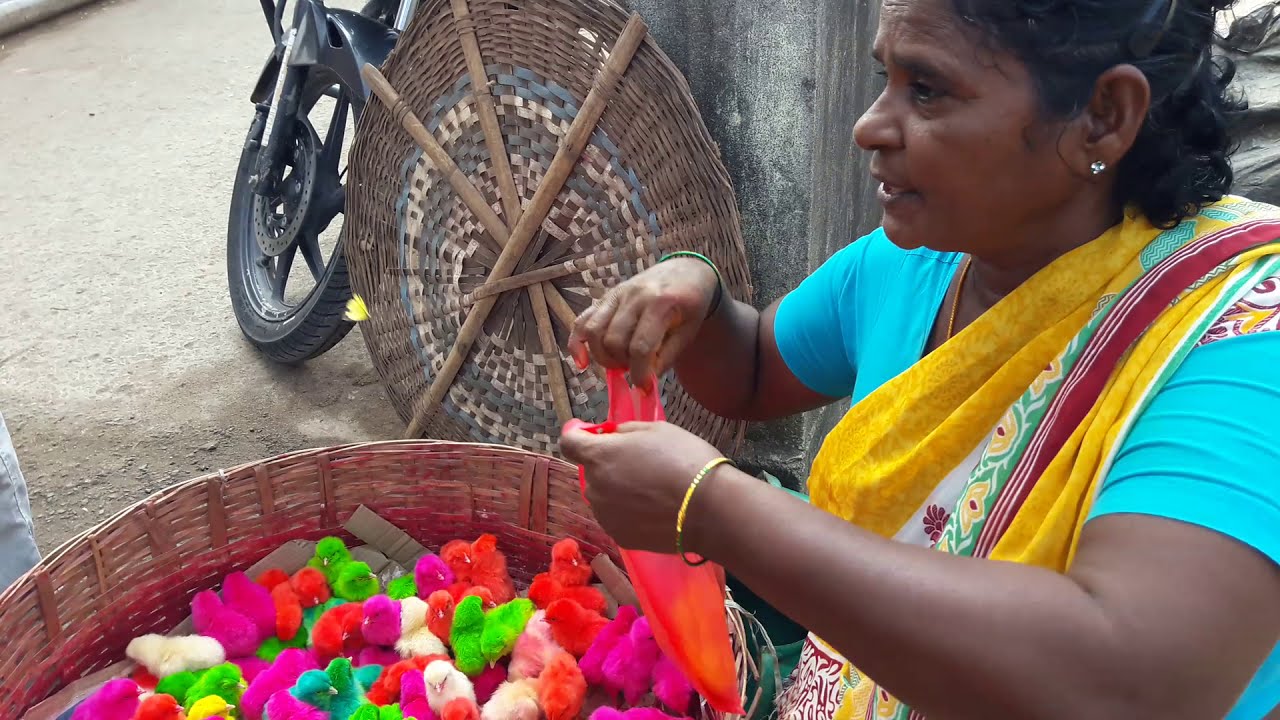 Colourful Chicks Business is Booming in Andhra Pradesh@narendra pantham #usa #israel#france #germany