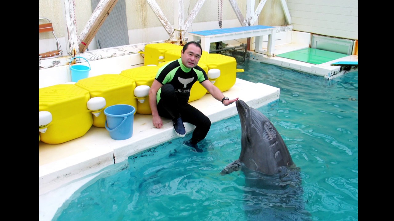新潟市水族館50周年CM