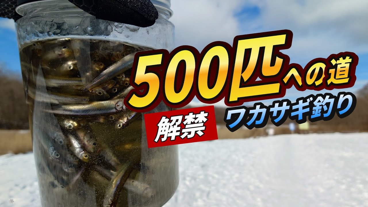 【解禁初日】目指せ目標500匹！ワカサギ釣り｜週末アングラーの釣行日記2026№1