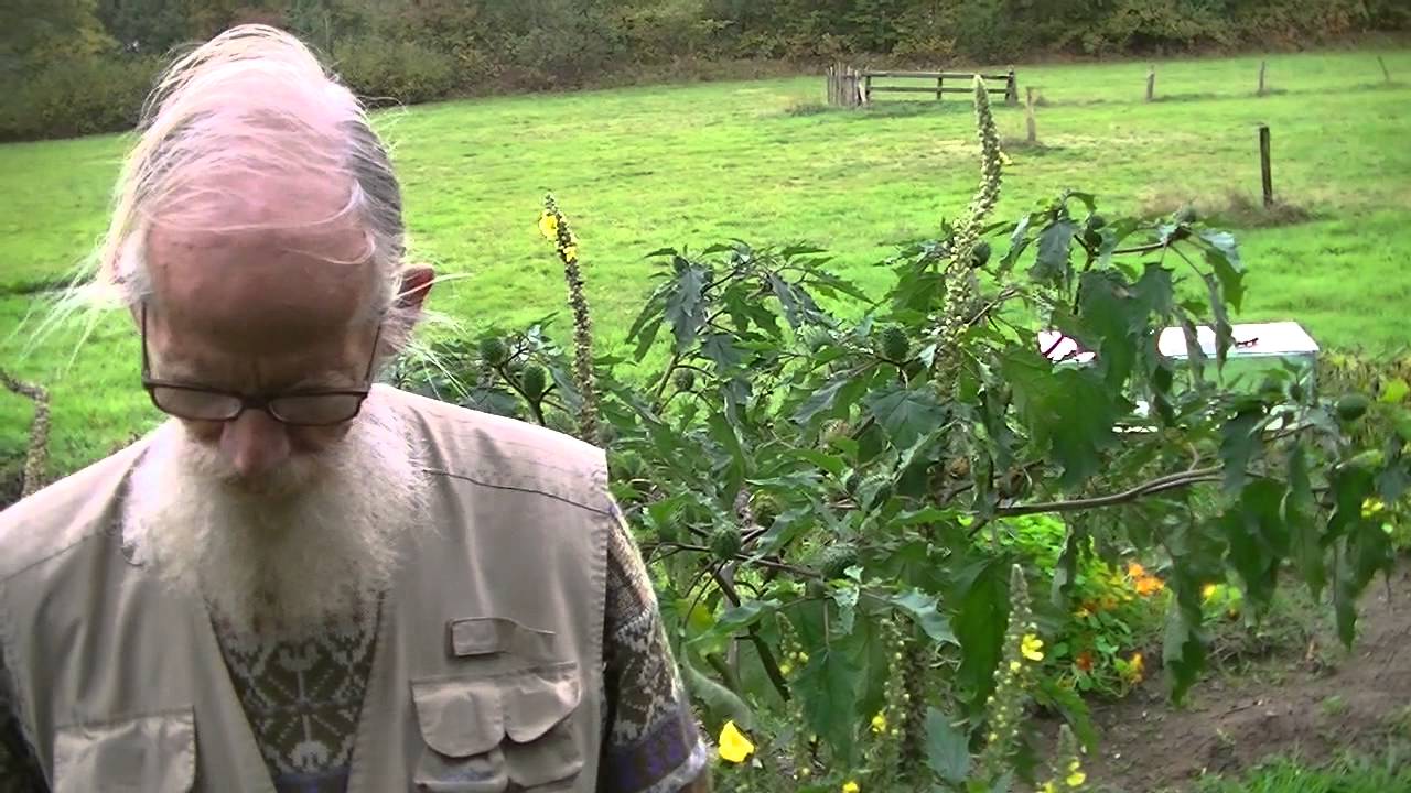 Jan legt uit over de aardpeer