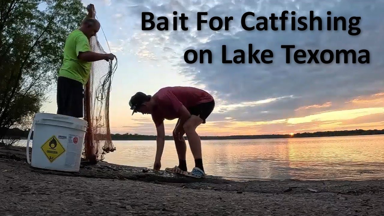 Catfishing with Outdoor Neighbors on Lake Texoma getting bait catching cats and gar #fishing