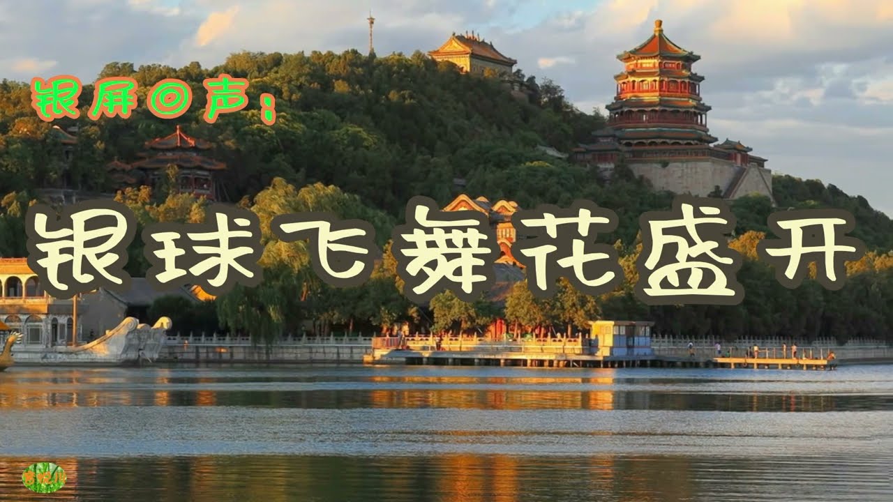 银球飞舞花盛开 - 记忆里的歌