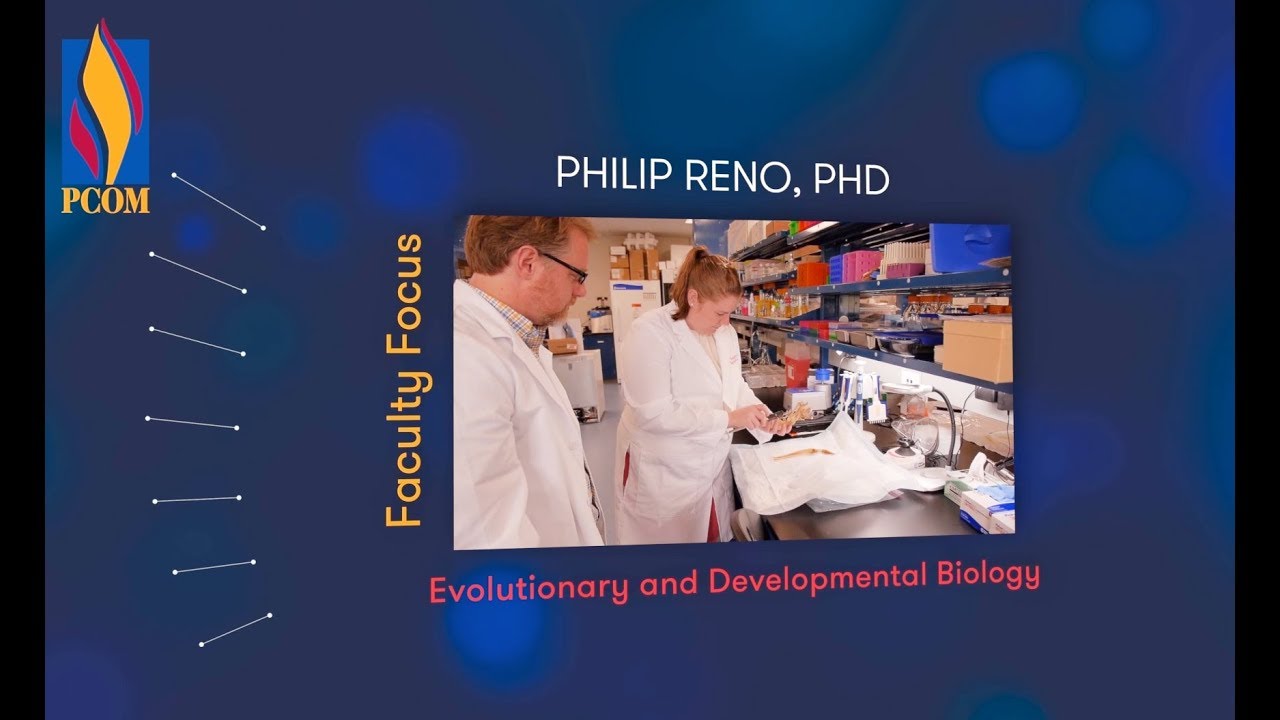 What is Evolutionary and Developmental Biology? | PCOM