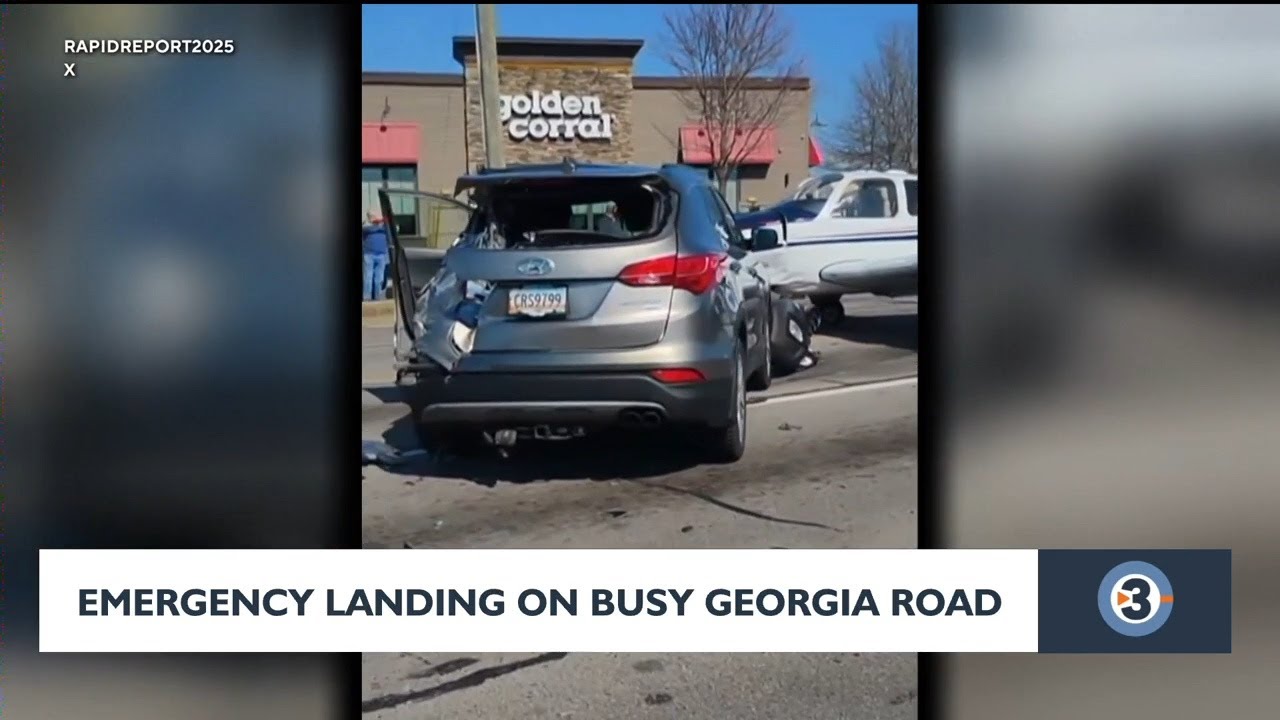 Emergency landing on busy Georgia road