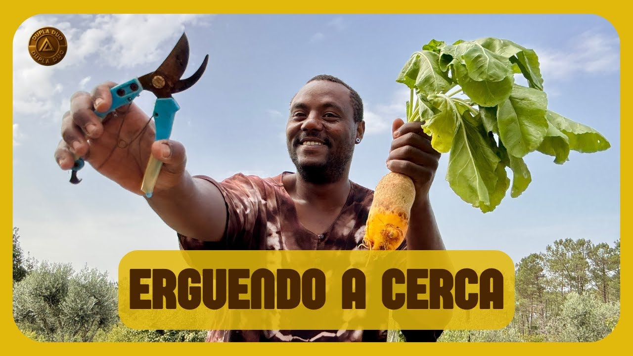 NO CAMPO EM PORTUGAL: UM DIA DE MUITO TRABALHO NA CERCA