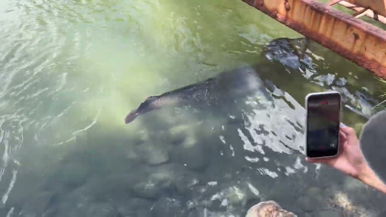 Passeio com a família, mudando rota/cidade cipó e jorro