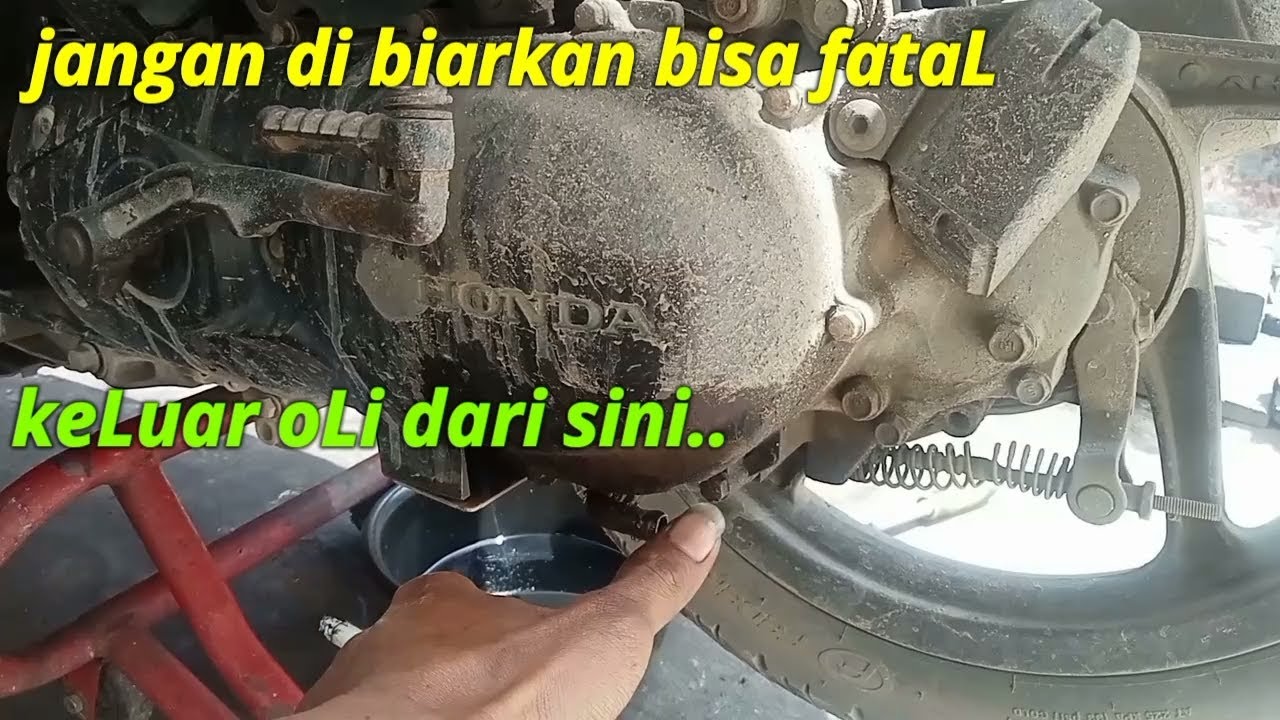 oLi keluar dari bagian bawah CVT   jangan di biarkan bisa fatal