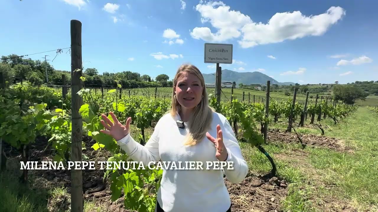 Alla scoperta dell'Irpinia - Documentario Unisob - Coordinamento Alessandro Cecchi Paone