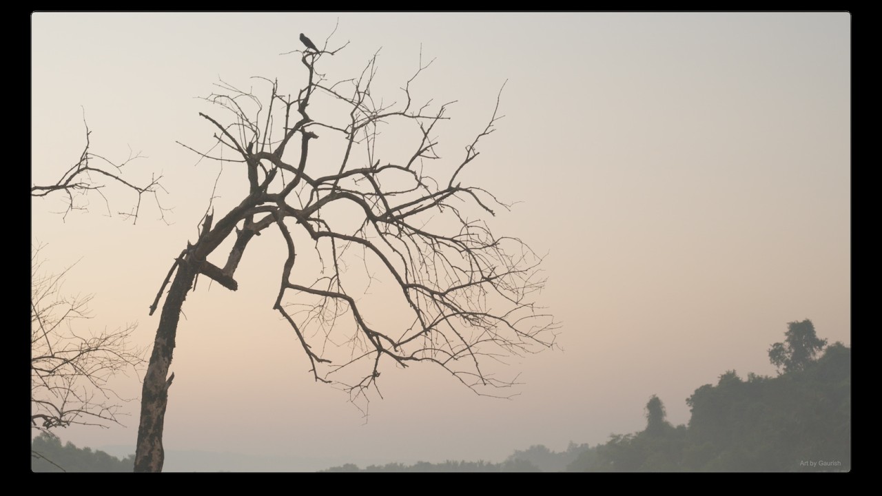 Divar / Divade Island (Landscape, Birds) - 1