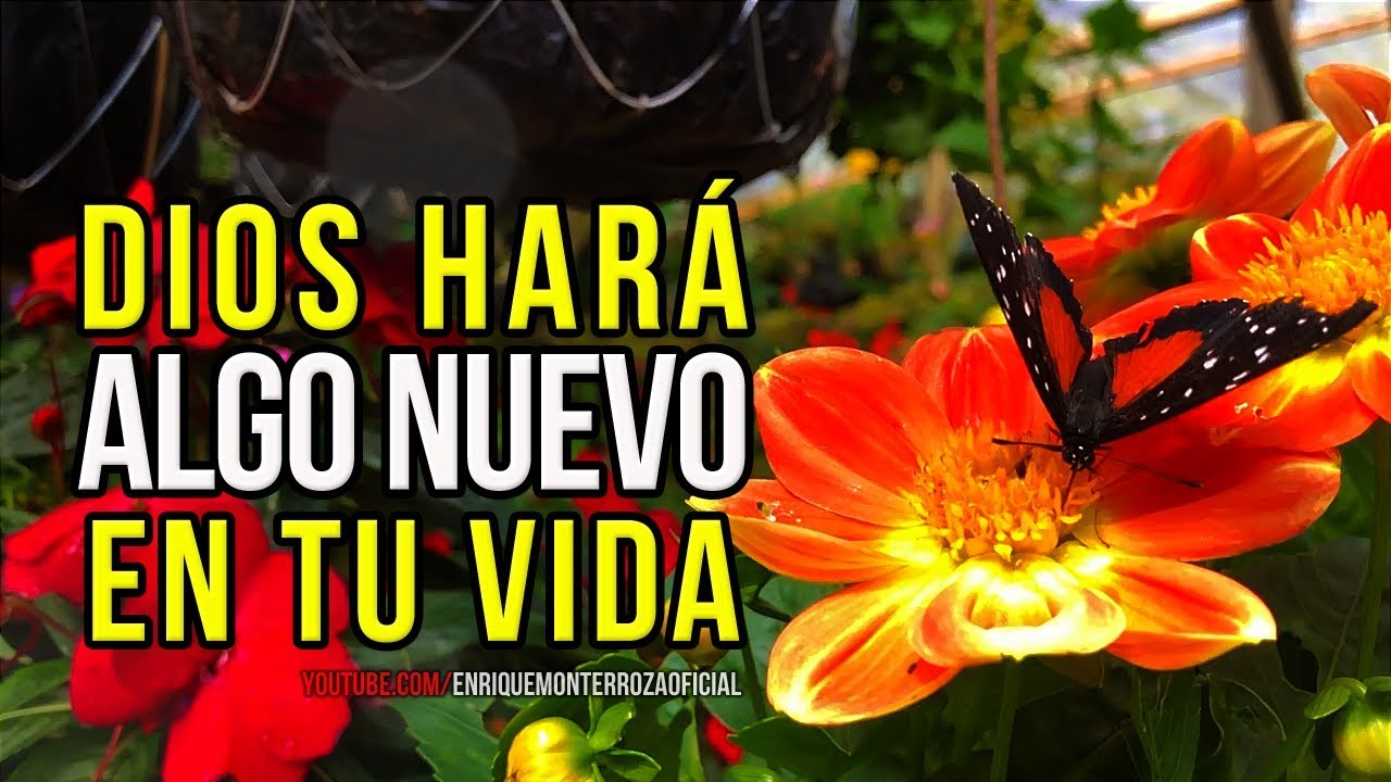 Dios hará algo nuevo en tu vida