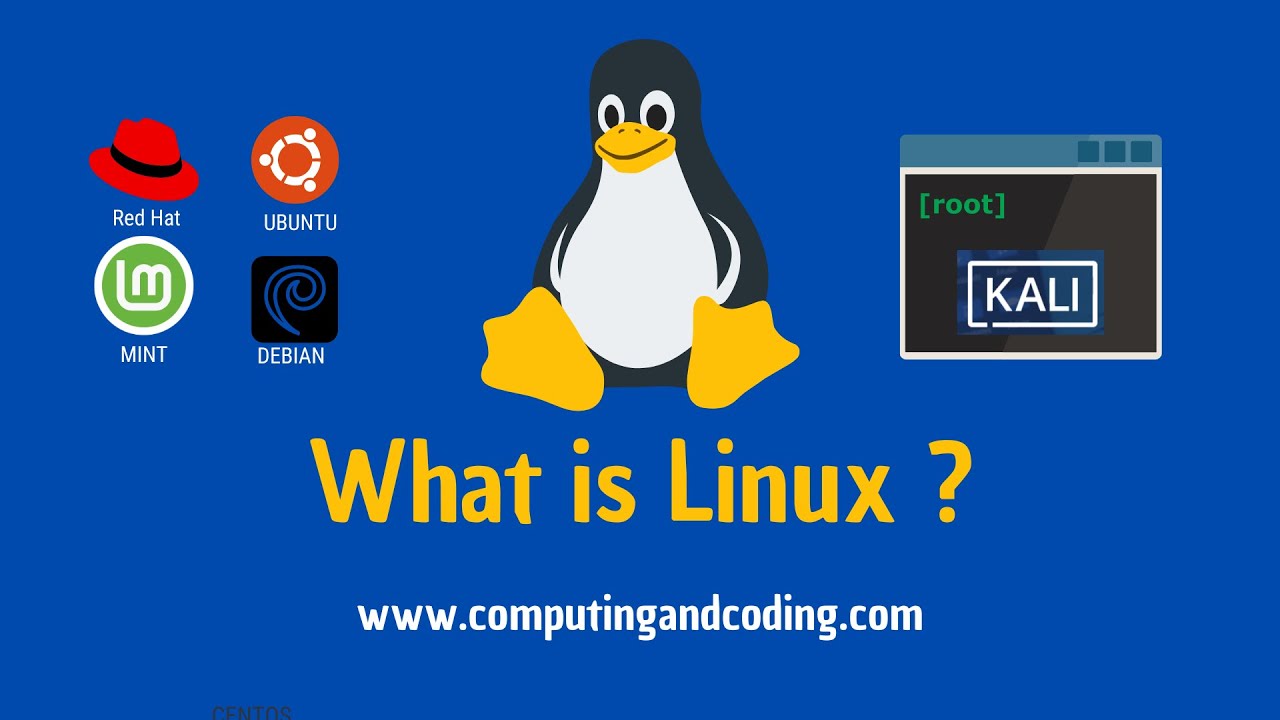 What is Linux? (2023)