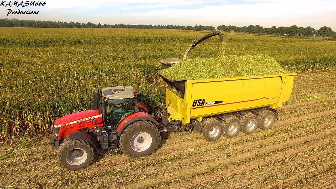 Mais 2019 : Van Bakel / Claas Jaguar 970 / Massey Ferguson / USA 2000CF / Mais ernte
