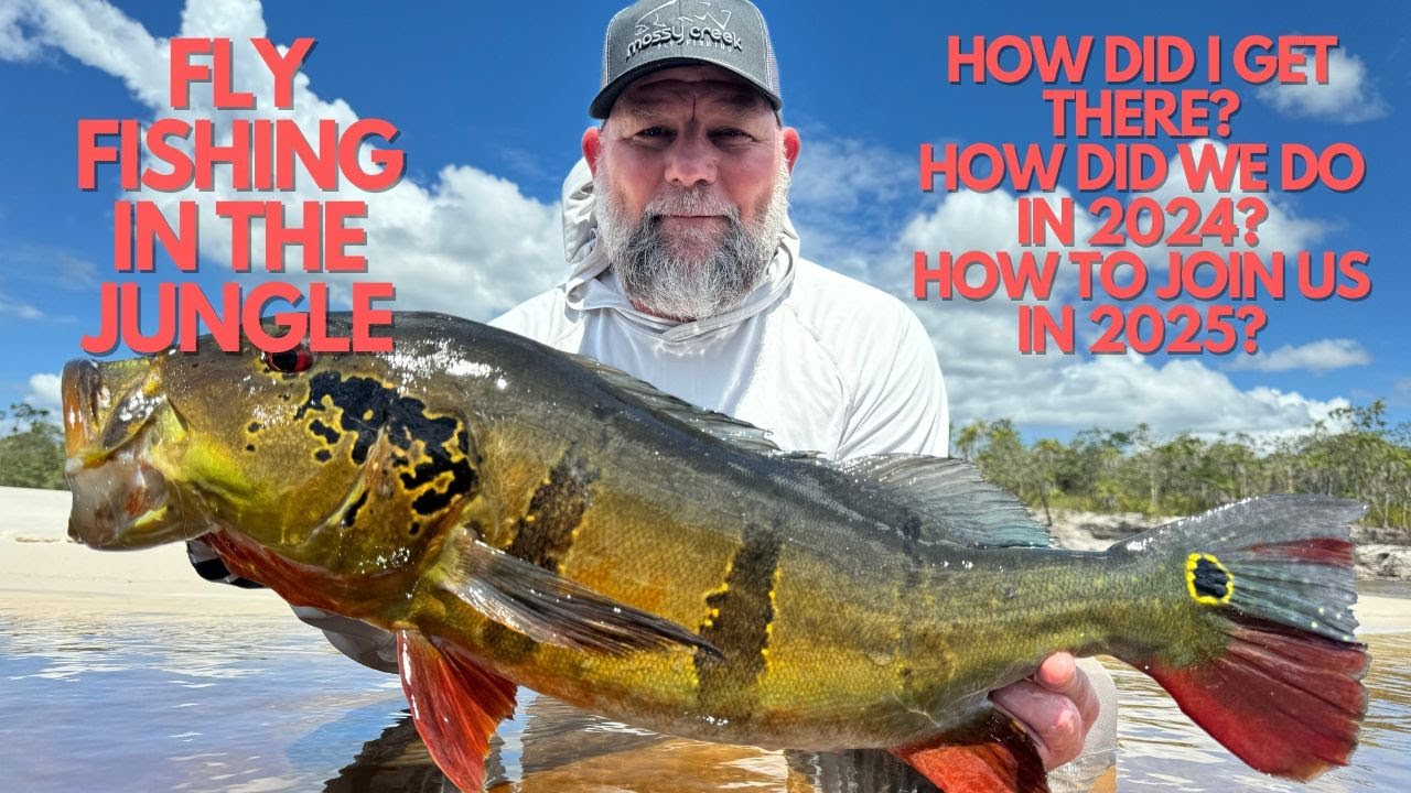 Fly Fishing for Peacock Bass in Brazil - what is a roofer doing in the Amazon Jungle?