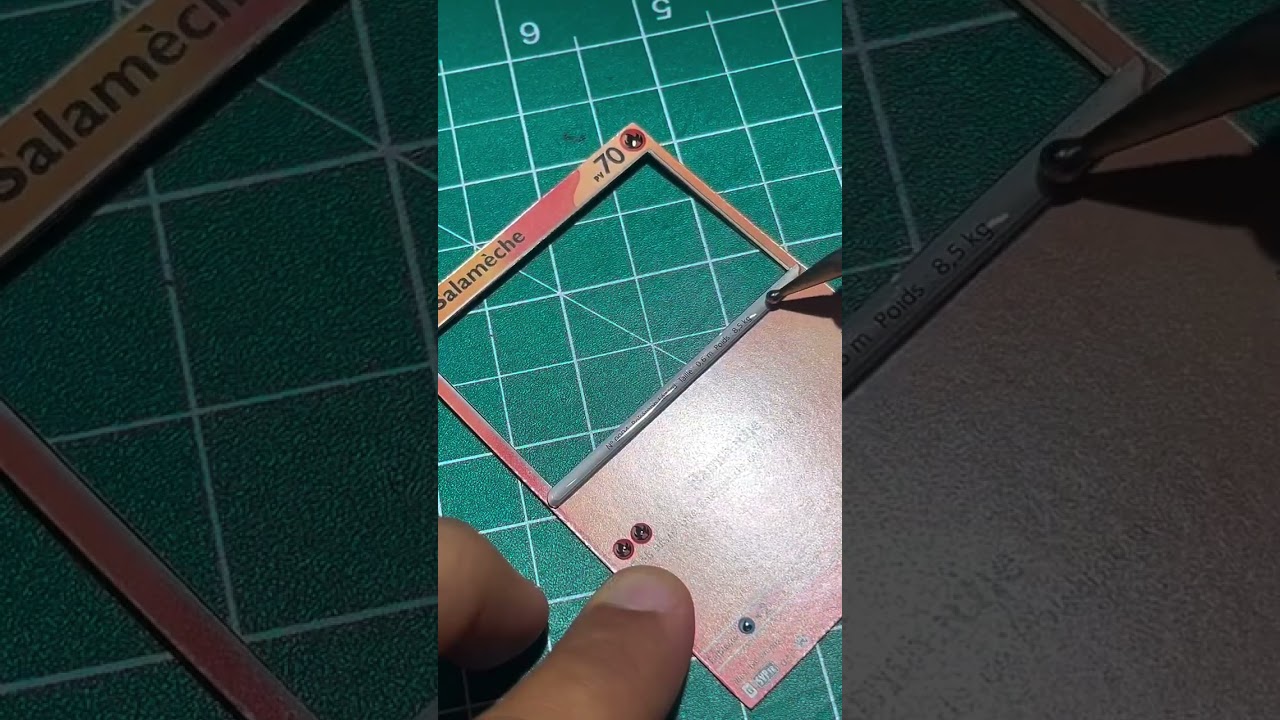 Carte Pok&eacute;mon Salam&egrave;che 3D !