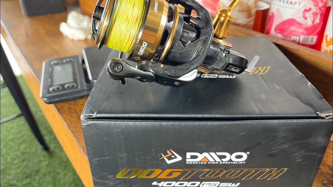 DAIDO DOGTOOTH | REELnya para Brutal Angler | #daido #daidofishingteam #reelpancingmurah #zonalaut
