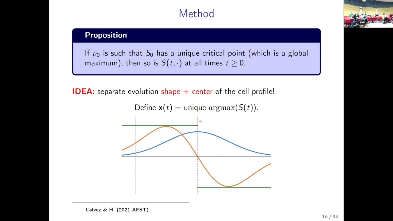FKT | Prof. Franca Hoffmann | Chemotactic clustering with discontinuous advection