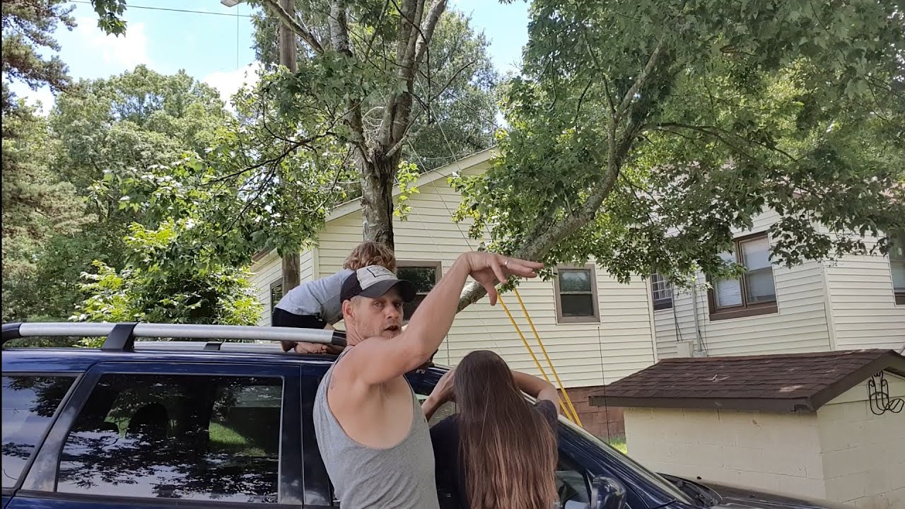 Andrew Yang 2020 Yang Gang Campaign Chronicles 