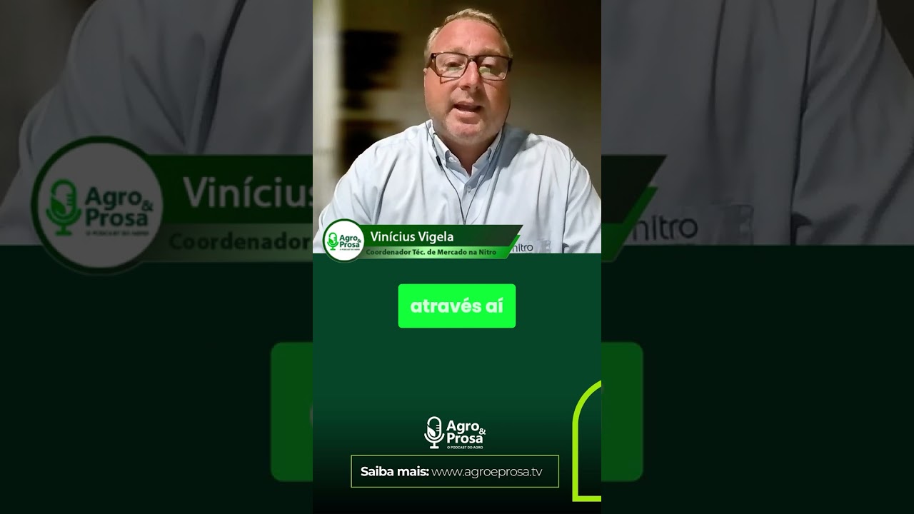 Alerta nas lavouras de mandioca!