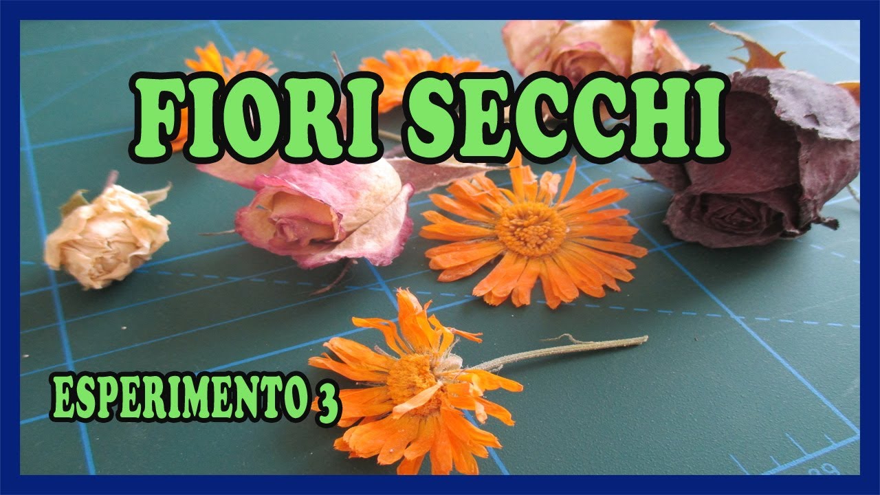 COME ESSICCARE I FIORI CON IL GEL DI SILICE - TUTORIAL 3