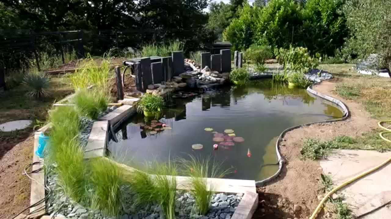 bassin filtre oase + pierre BIOCERAPOND  carpes KOÏ et poissons rouges