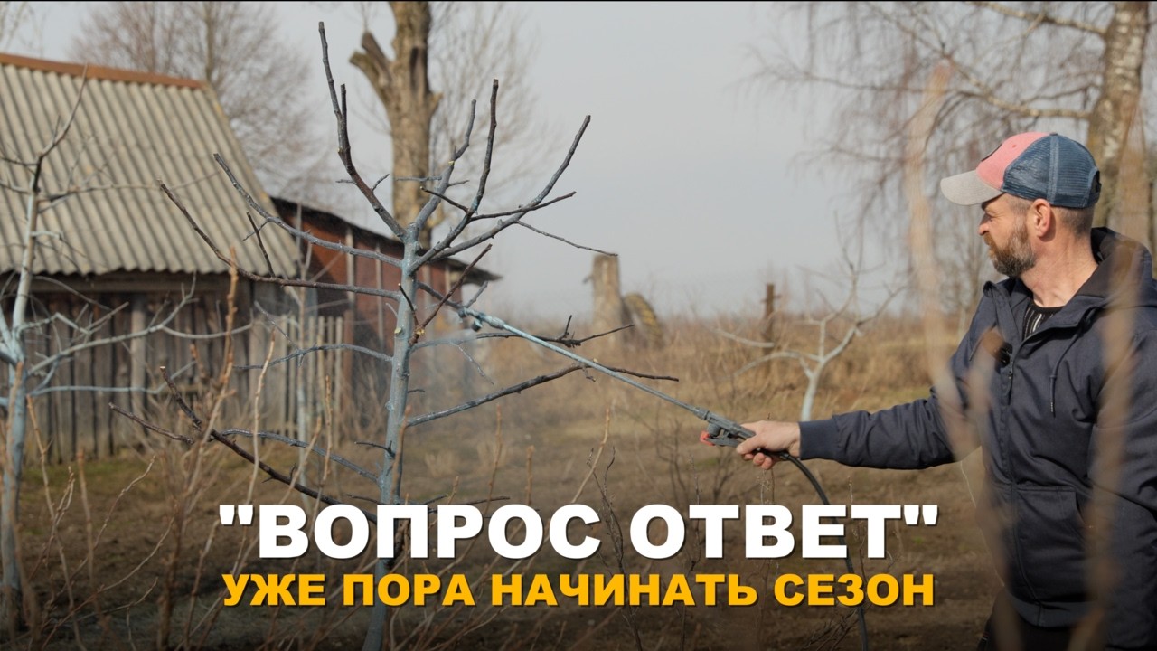 РУБРИКА 