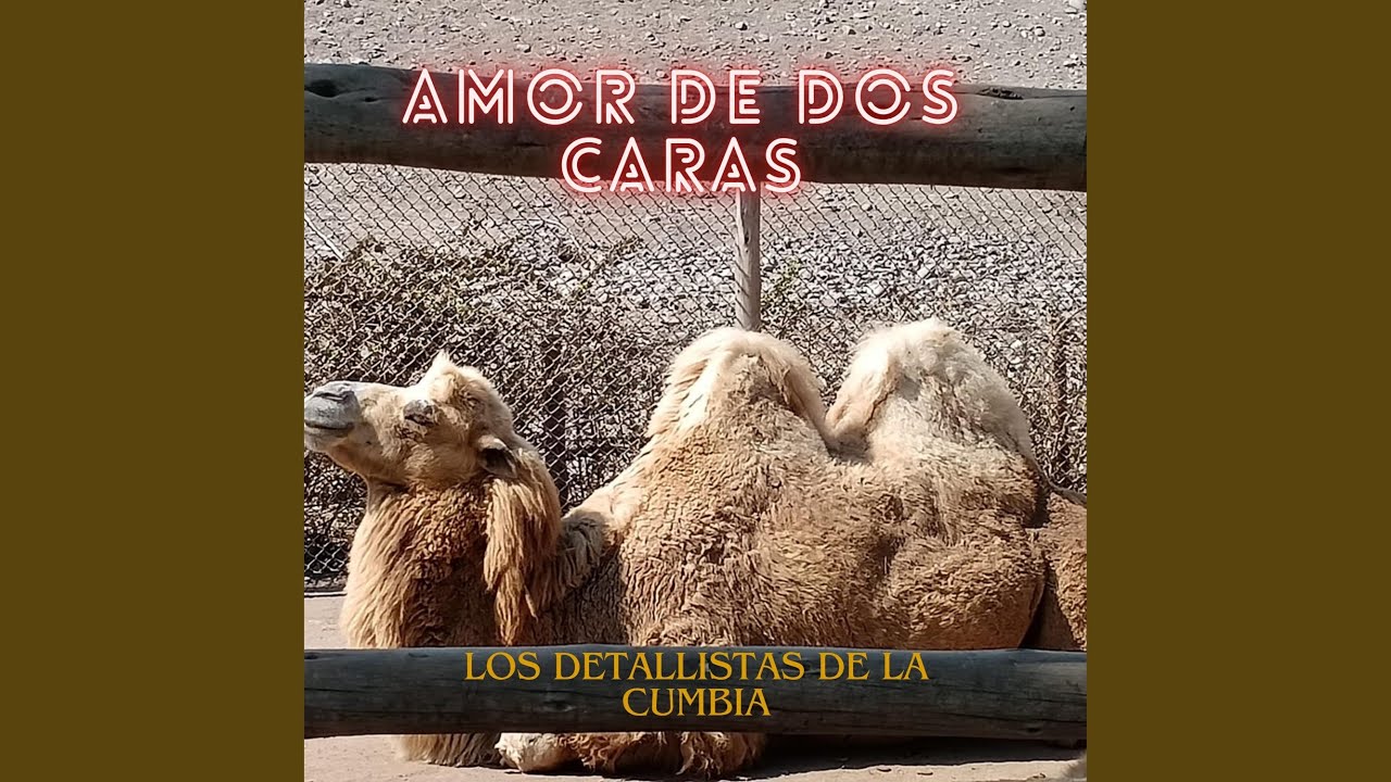 AMOR DE DOS CARAS