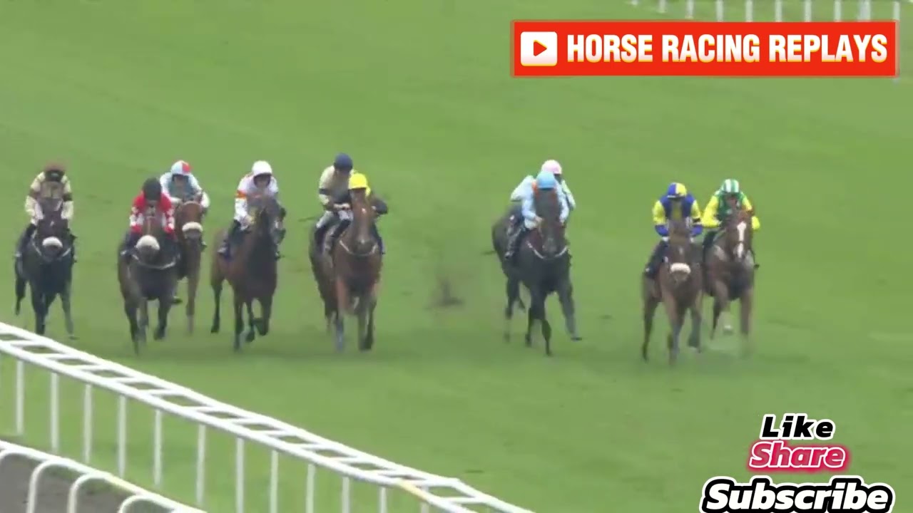 JOJO RABBIT / 7 Race Doncaster 11 Jul 2024