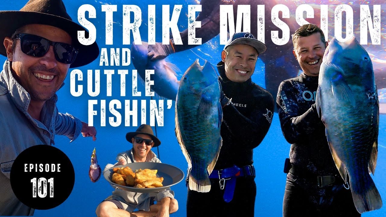 STRIKE MISSION to Find BLUE BONE | Cuttle Fish | CATCH and COOK - Ep 101