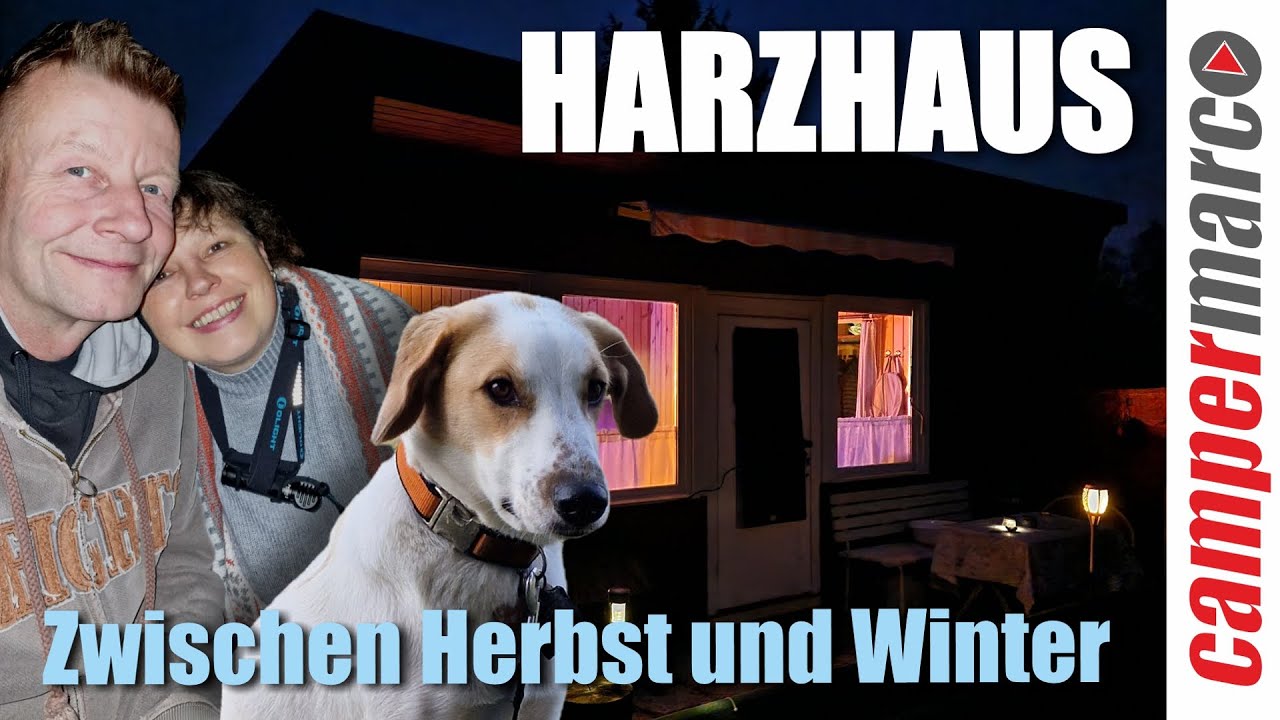 Bei Nacht und Nebel ins Harzhaus | Der Stadt entfliehen | Tag 1