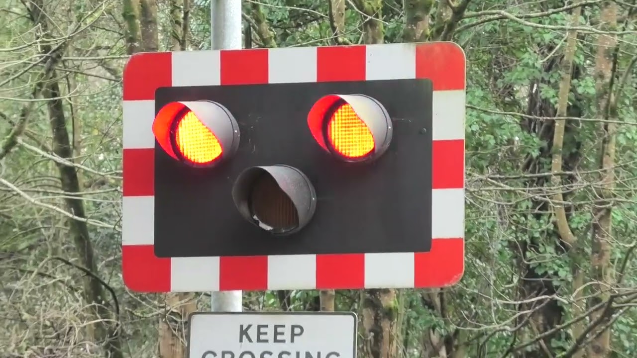Level crossing barriers at Moreton forget to go up after 2 trains pass