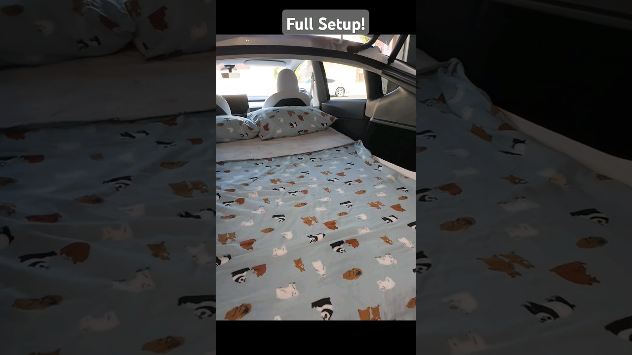 Full setup! Car camping, road tripping, in the Model Y!  More to come! #carcamping #tesla #setup