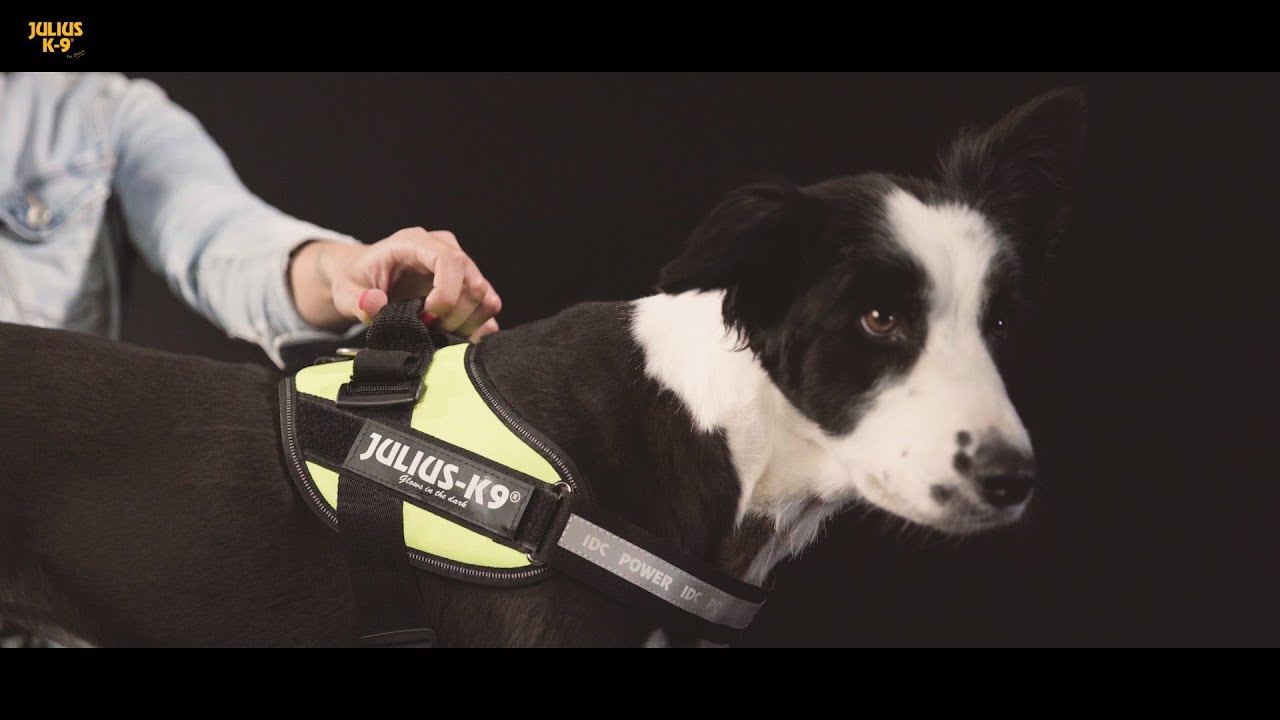 IDC® Powerharness safety and comfort