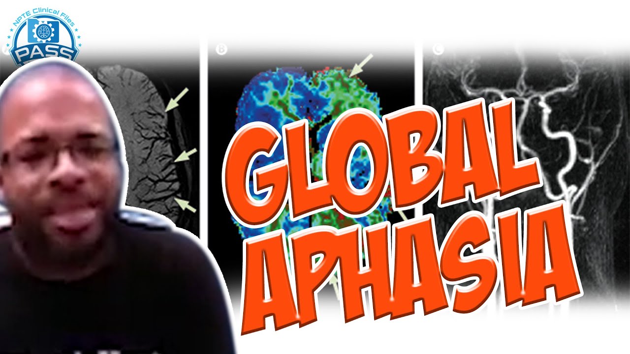 NPTE Practice Questions: Global Aphasia (RED SCREEN DURING VIDEO)
