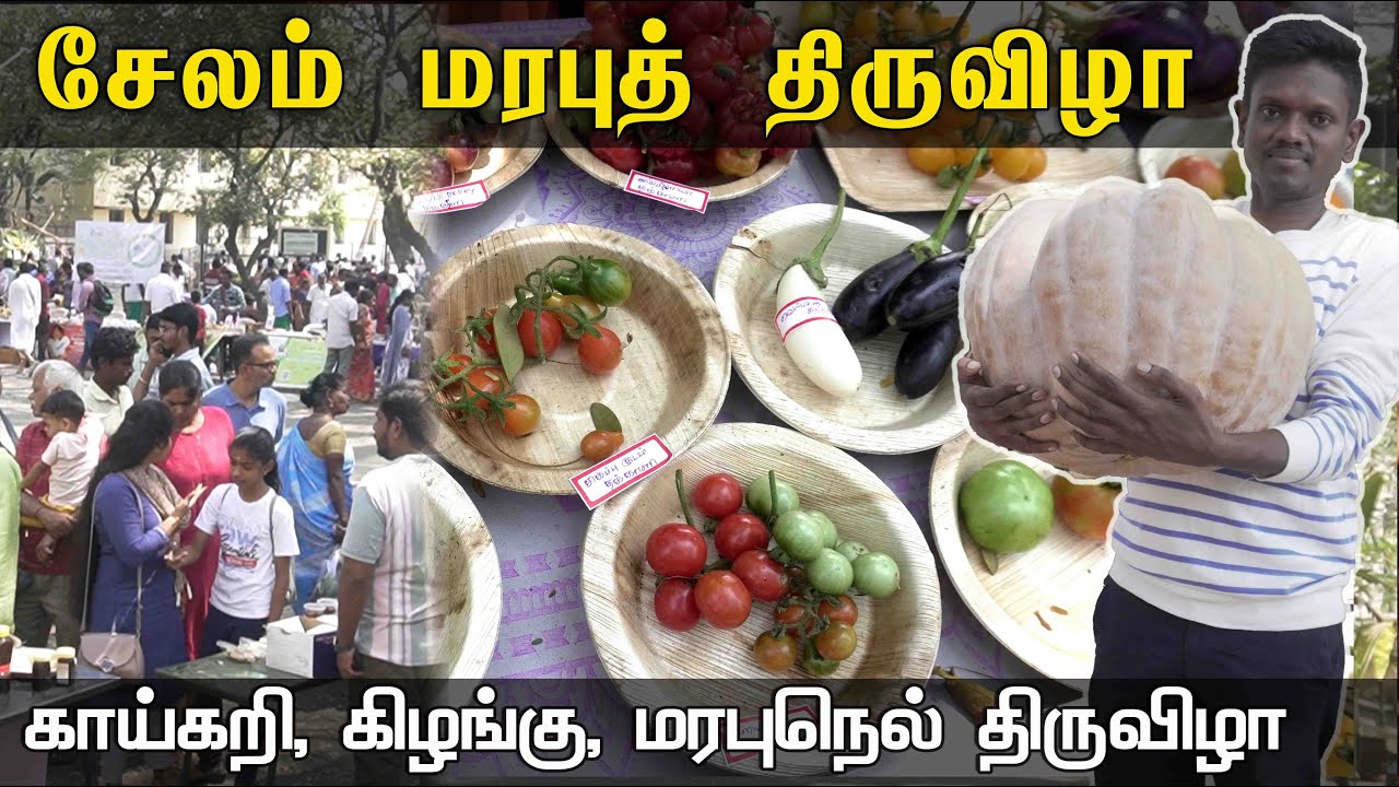 Salem Marabu Thiruvizha | சேலம் மரபு திருவிழா #salem #salemvideos #foodfestival