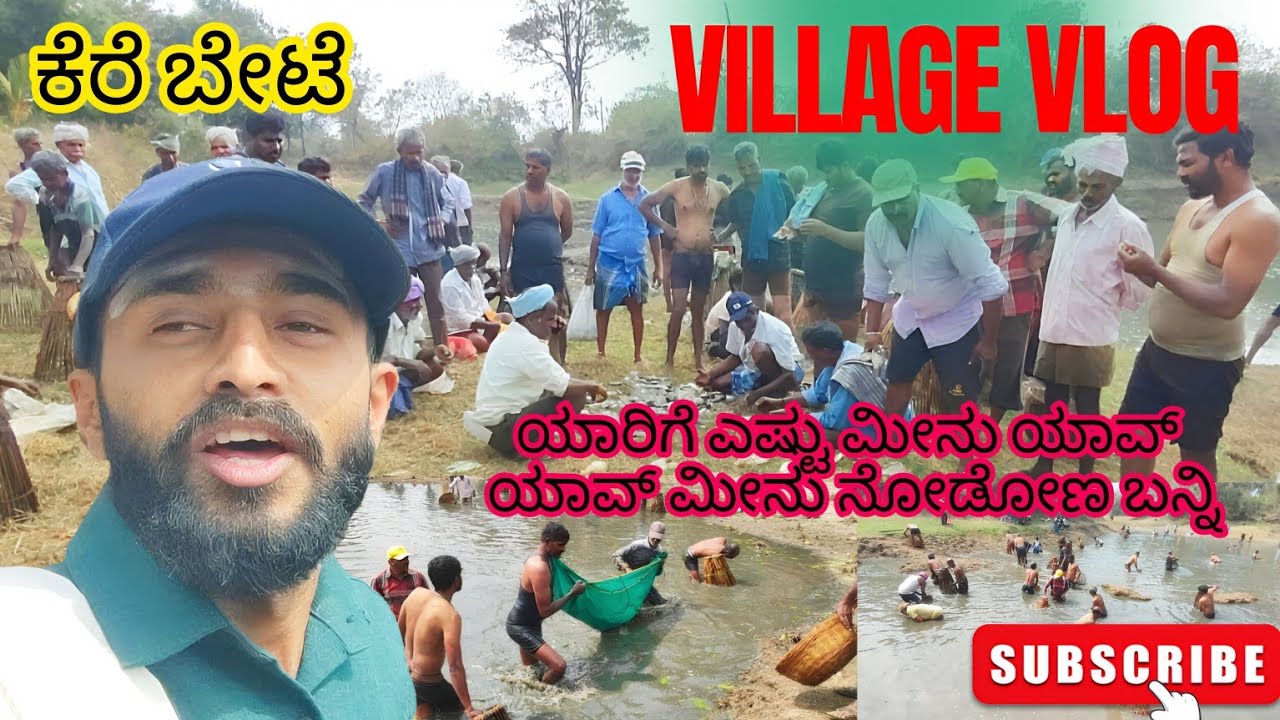 ಕೆರೆ ಬೇಟೆ ಯಾರಿಗೆ ಎಷ್ಟು ಮೀನು ಸಿಕ್ಕಿದೊ ನೋಡಿ 😳 #fish #fishing #hunting #catchingfish #catching 
