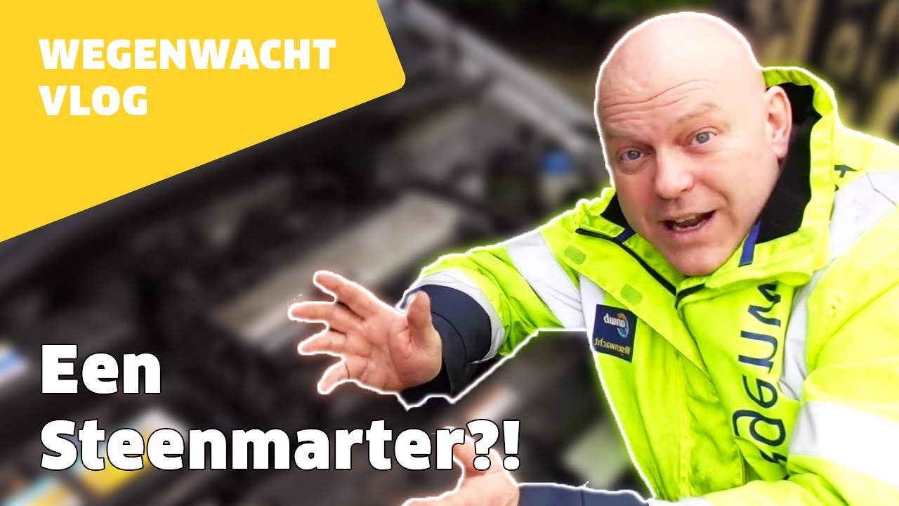 Een STEENMARTER onder de motorkap? | Wegenwacht vlog