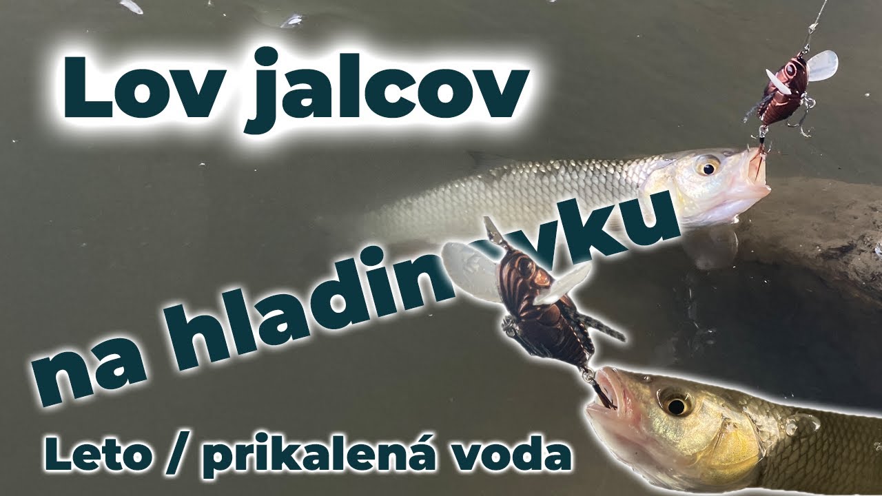 Lov jalcov na hladinovku | Lov jalcov v lete - kalná voda | DUO Realis Shinmushi/Koshinmushi