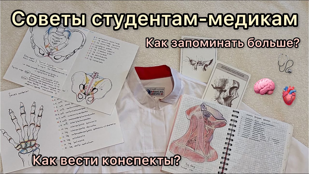 Cоветы студентам-медикам: как складывать халат, вести конспекты и запоминать больше