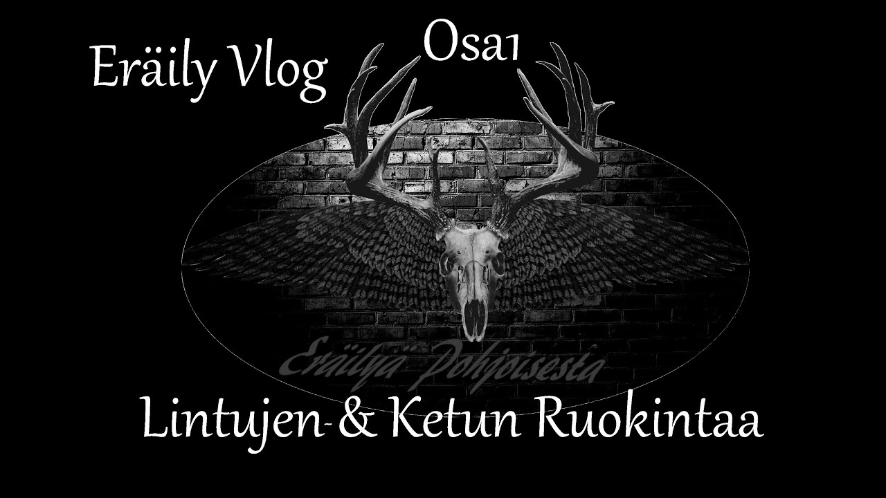 Eräily Vlog Osa1 : Lintujen- & Ketun Ruokintaa