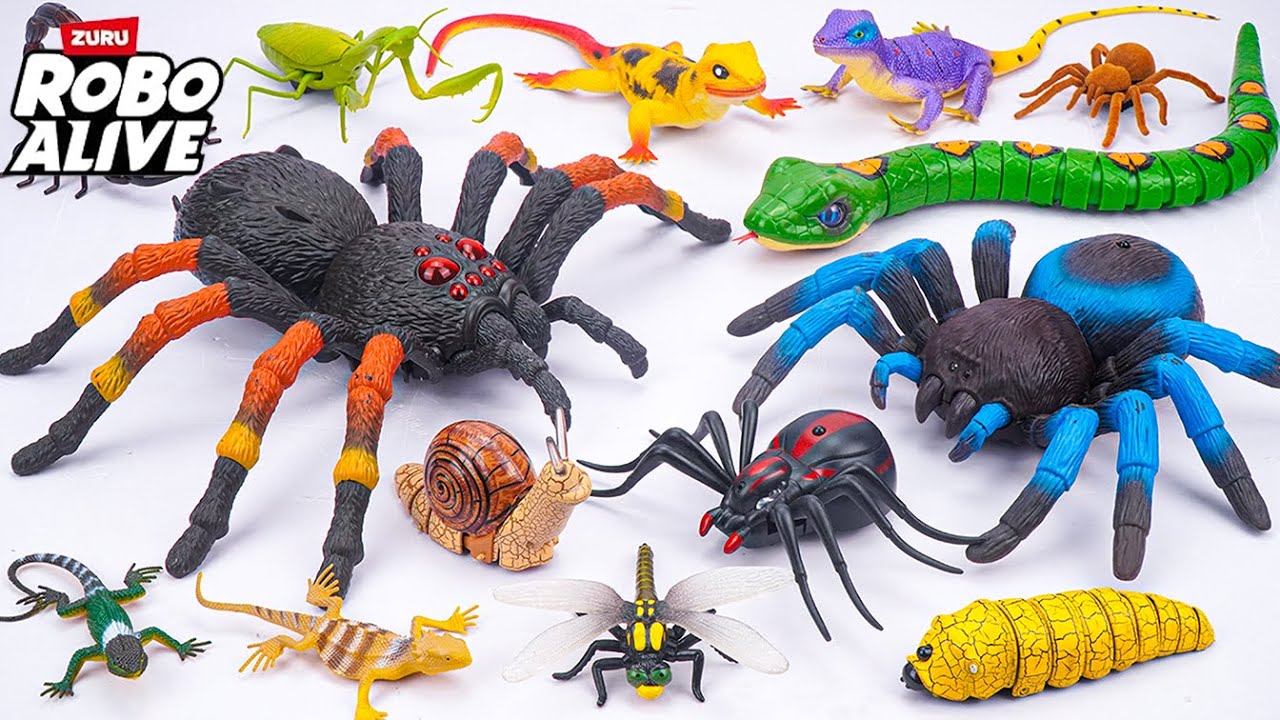 🐍toy asmr🐍 ZURU Robo Alive Huge Spider & Remote Control Snake & Robo Bugs ASMR 🌟 Unboxing Toys