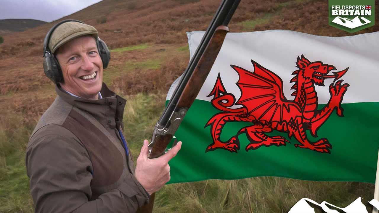 Top-flight Welsh partridges