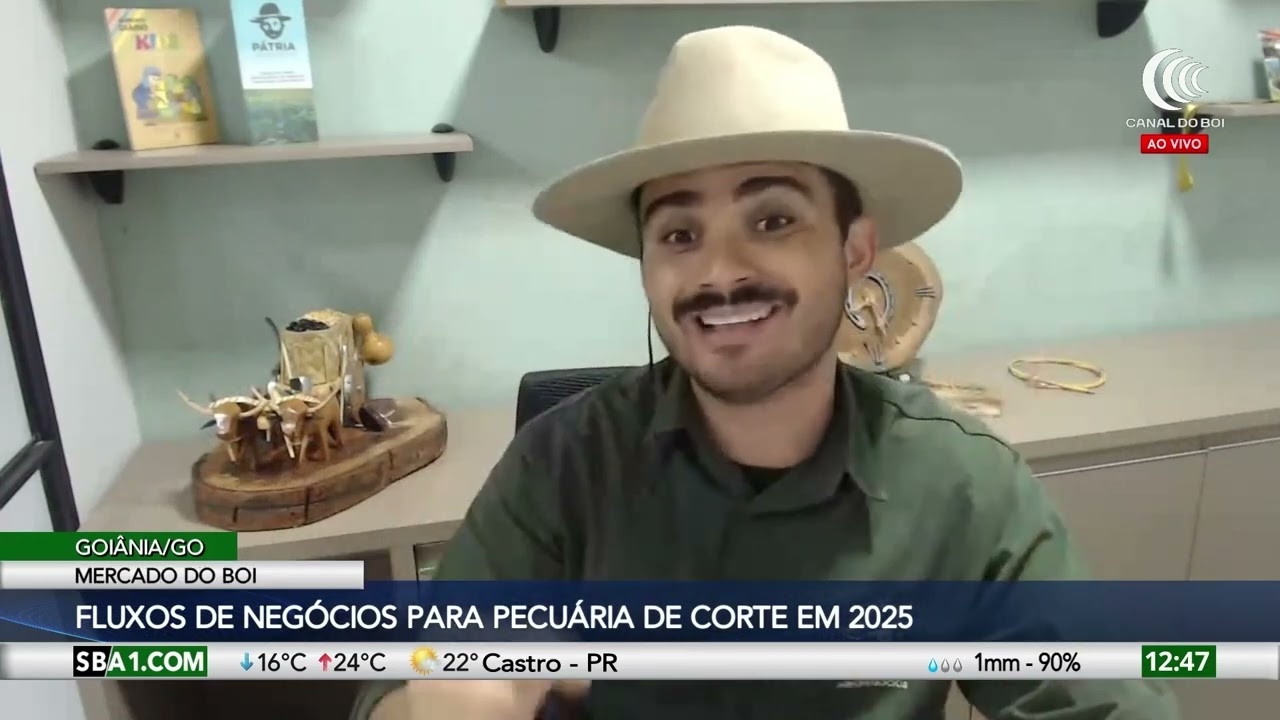 Ano de 2025 deve ter preços mais firmes para pecuarista e consumidor