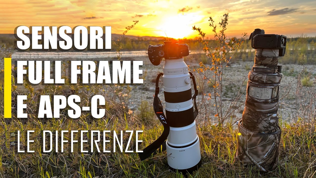Differenze tra sensori APS-C vs Full FRAME || Confronto Mirrorless nella Fotografia Naturalistica