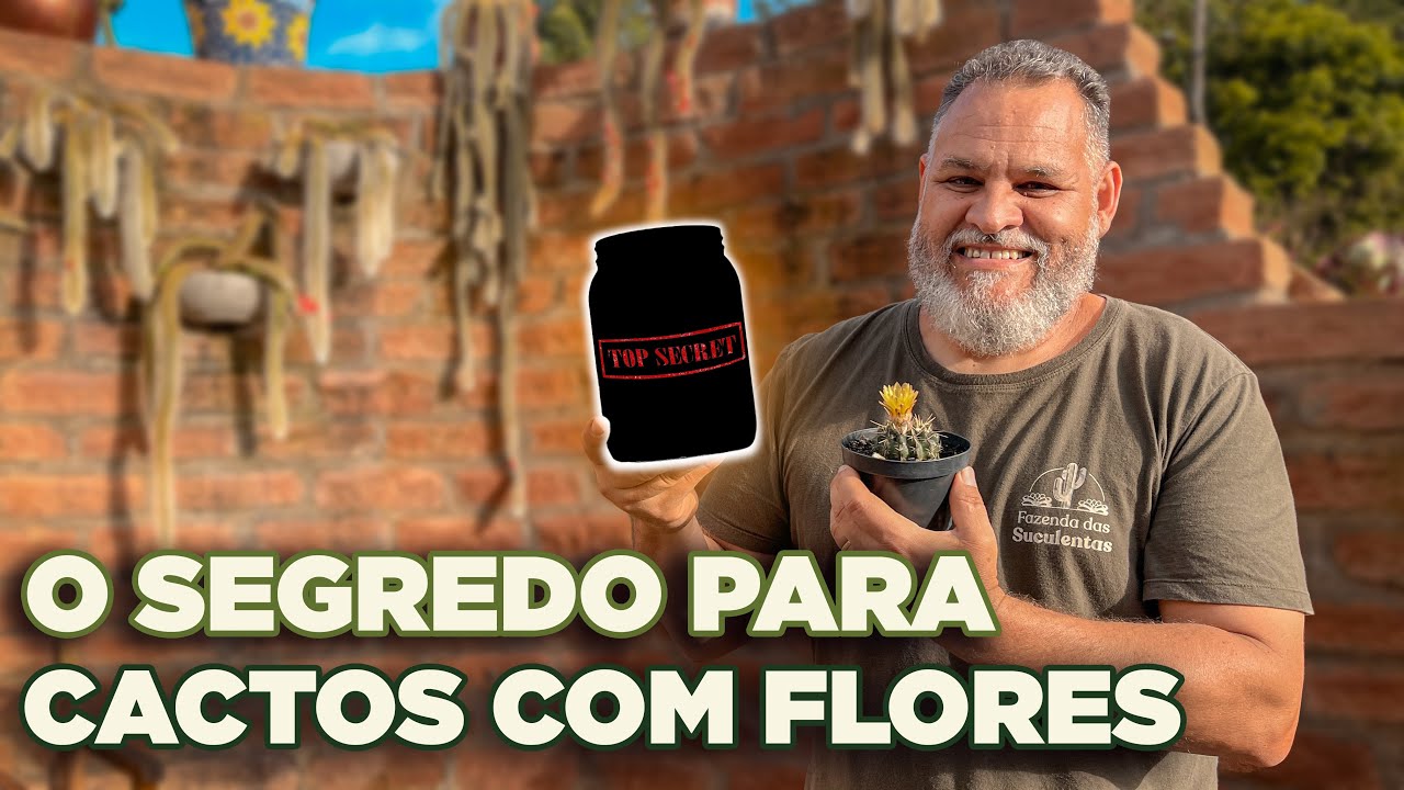 Como fazer seu Cactos FLORIR com esse SEGREDO!
