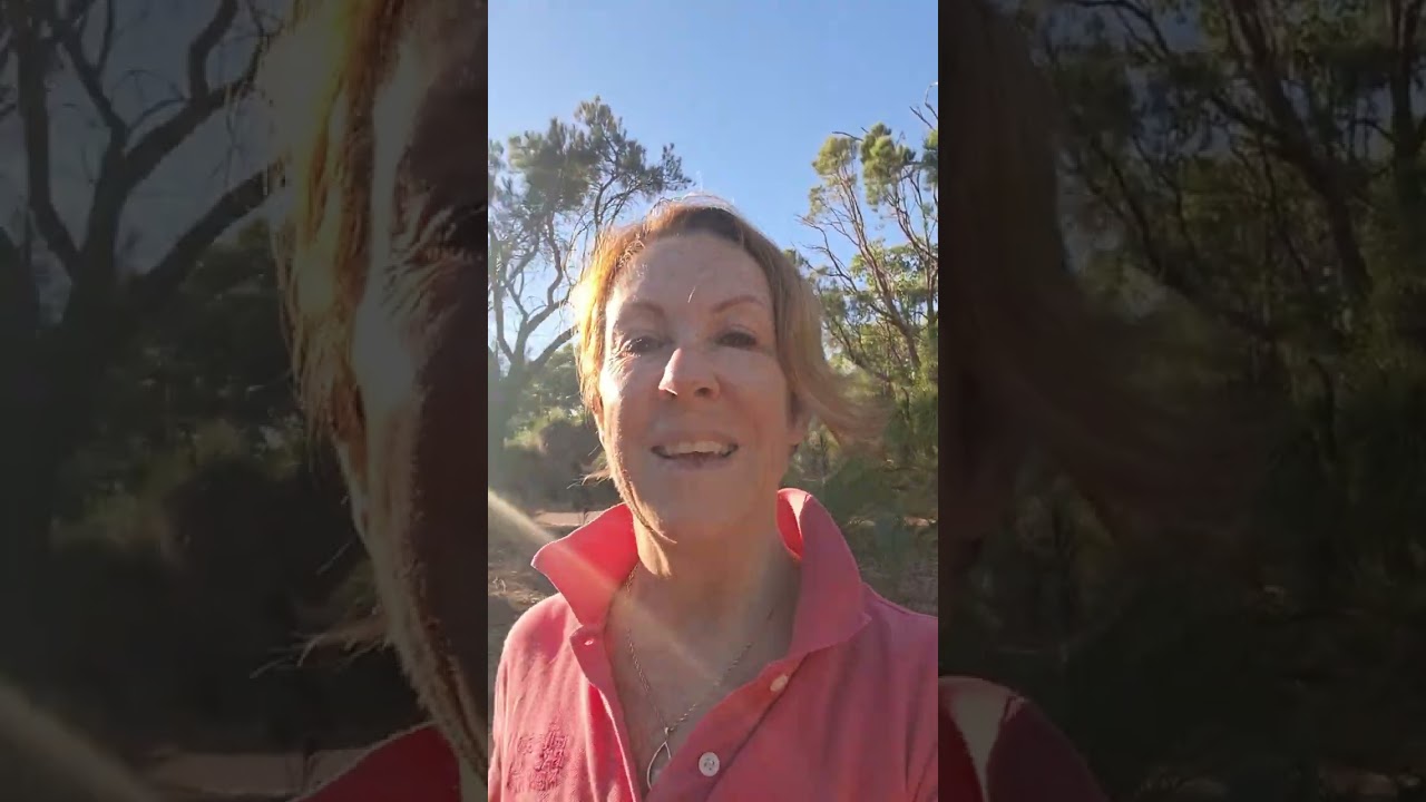 How the same walking habit that supports bone strength also helps clear brain fog after 50.