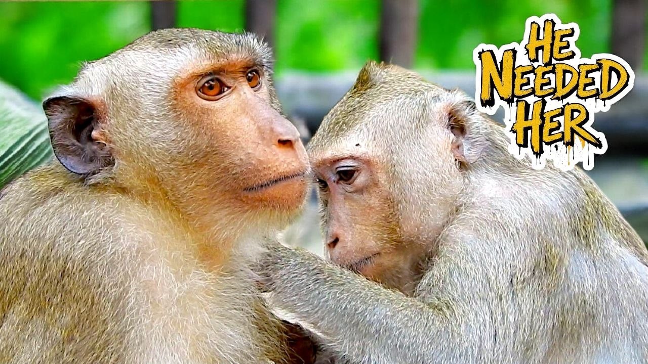 Emotional Bond Revealed: BRADY and ASTRA Share a Rare Tender Moment
