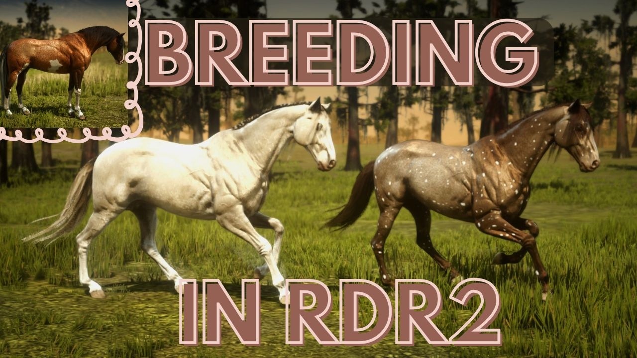 I Bred the Prettiest Thoroughbreds in RDR2 | The Tackroom