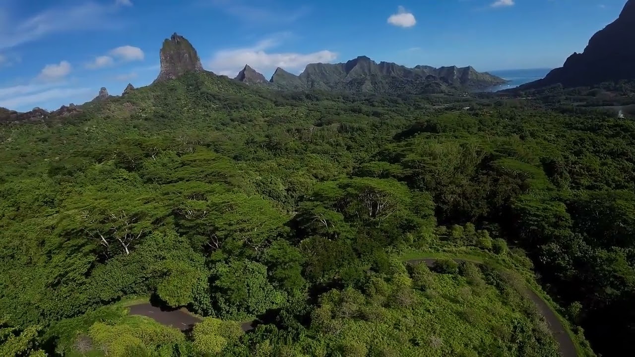 Belvédère d'Opunohu By Drone 