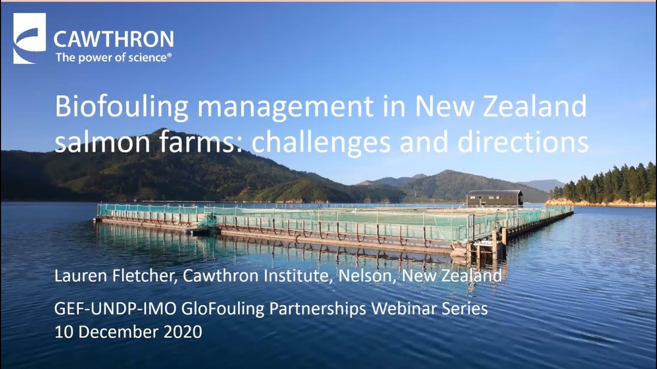 Biofouling management in New Zealand salmon farms: challenges and directions